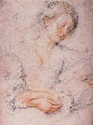 Peter Paul Rubens The Girl France oil painting artist